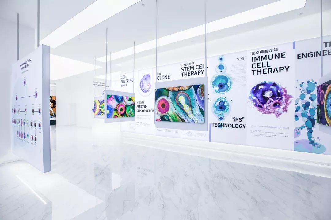 干細胞展廳設計—思威圖數字通過油墨導電展項結合動畫來生動展示CAR-T免疫療法的流程