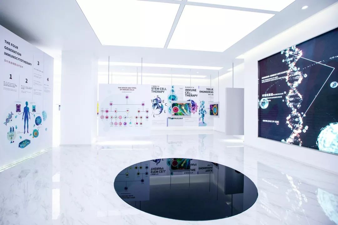 干細胞展廳設計—思威圖數字干細胞科普展館的布局和設計需要非常細致