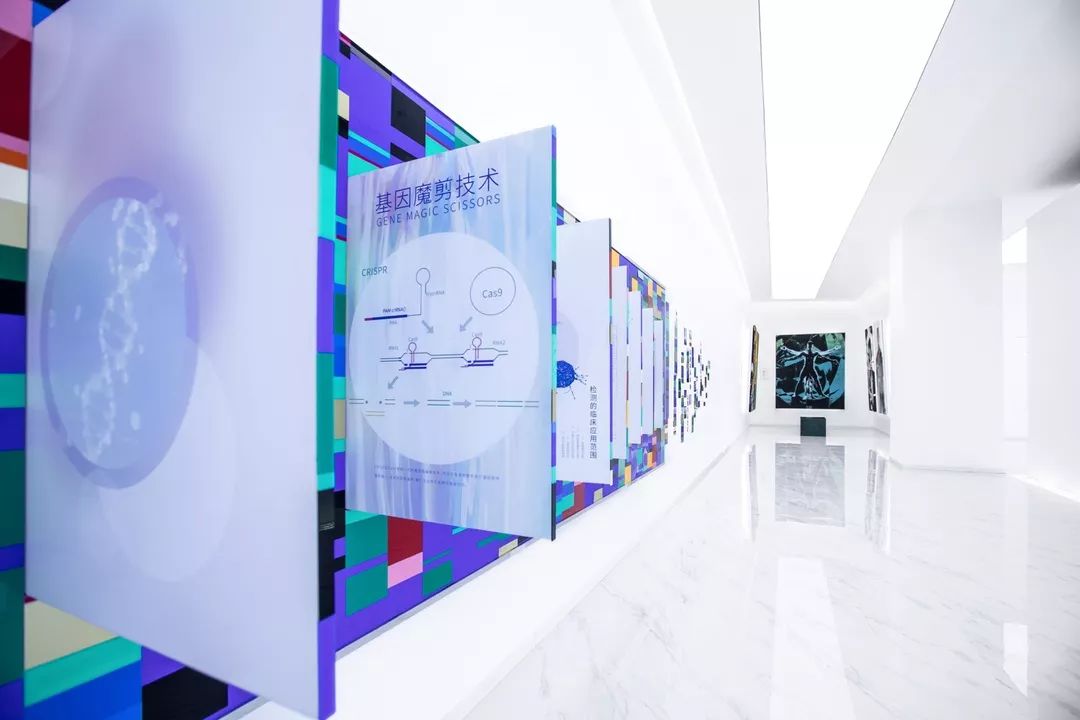 探秘干細胞展廳設計 五大內容模塊決定參觀體驗｜生命科技館｜干細胞科普館設計公司