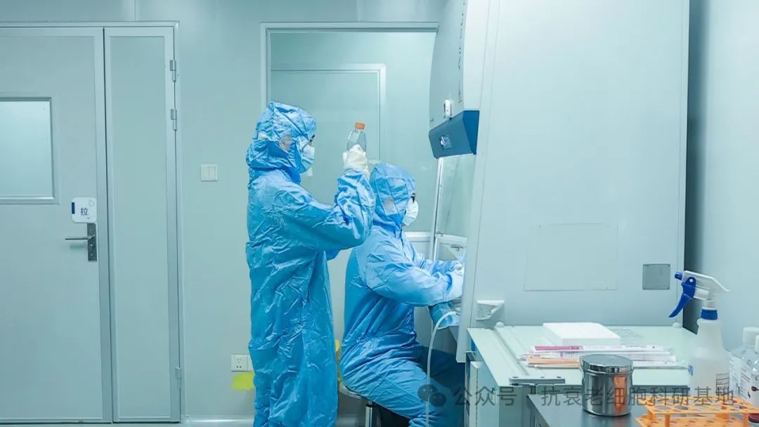 干細胞展廳設計—思威圖數字廣州百康細胞生命順利通過ISO9001認證，邁向品質新征程！